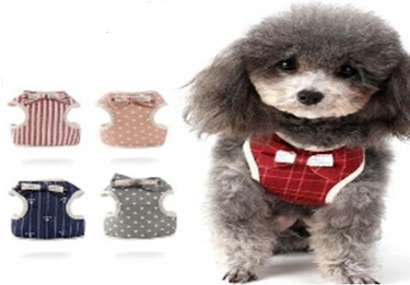 Pet Harness Leash
